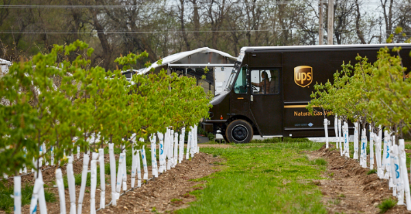 UPS寄件需要哪些资料