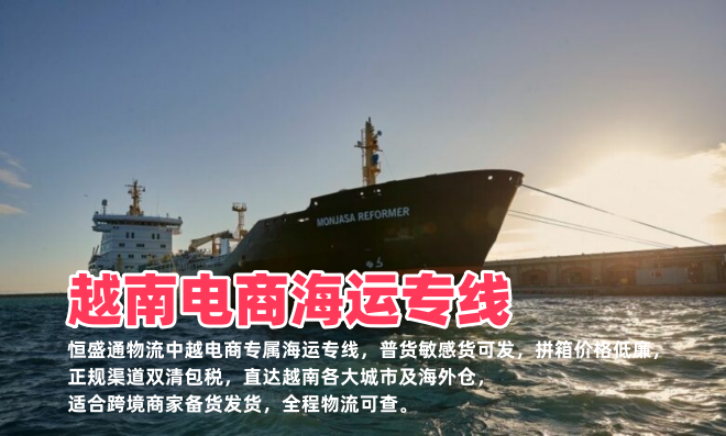 越南电商海运专线 双清包税 胡志明河内全境派送